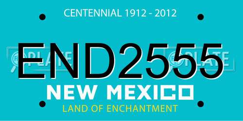 END2555 New Mexico License Plate