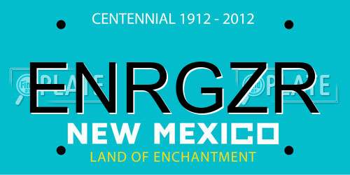 ENRGZR New Mexico License Plate