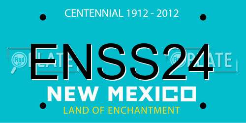 ENSS24 New Mexico License Plate