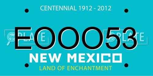 EOOO53 New Mexico License Plate