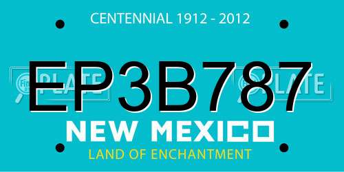 EP3B787 New Mexico License Plate