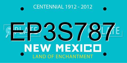 EP3S787 New Mexico License Plate