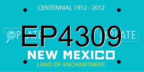 EP4309 New Mexico License Plate