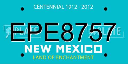 EPE8757 New Mexico License Plate
