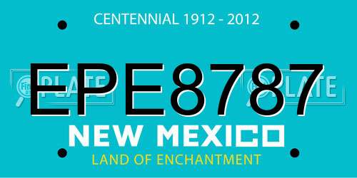 EPE8787 New Mexico License Plate