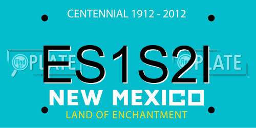 ES1S2I New Mexico License Plate