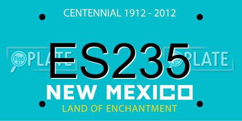 ES235 New Mexico License Plate