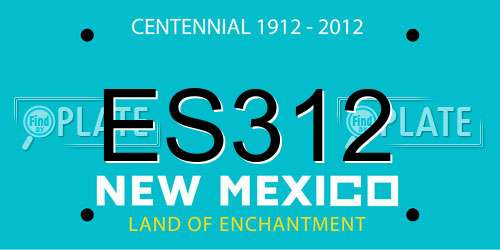 ES312 New Mexico License Plate