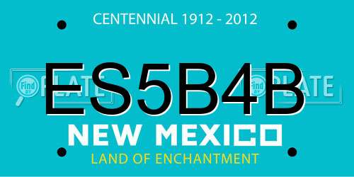 ES5B4B New Mexico License Plate