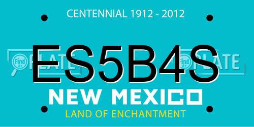 ES5B4S New Mexico License Plate