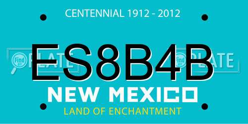 ES8B4B New Mexico License Plate