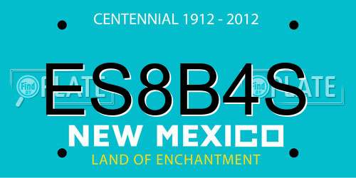 ES8B4S New Mexico License Plate