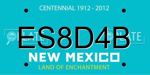 ES8D4B New Mexico License Plate
