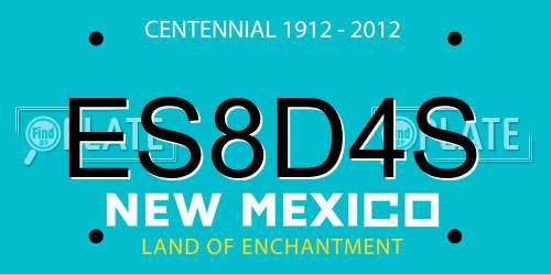 ES8D4S New Mexico License Plate