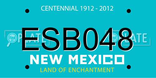 ESB048 New Mexico License Plate