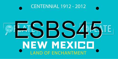 ESBS45 New Mexico License Plate