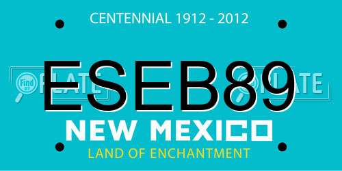 ESEB89 New Mexico License Plate