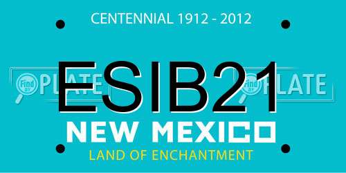 ESIB21 New Mexico License Plate