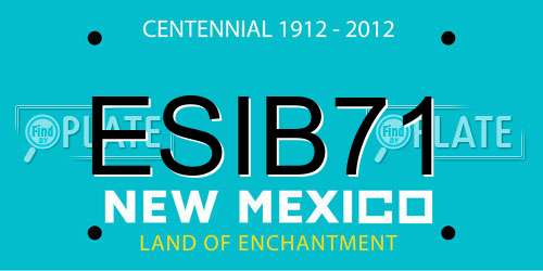ESIB71 New Mexico License Plate
