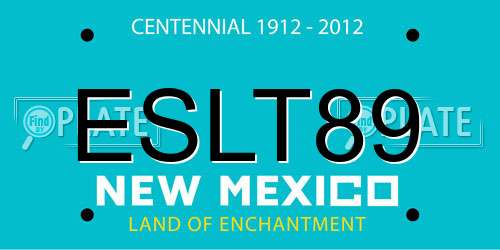 ESLT89 New Mexico License Plate