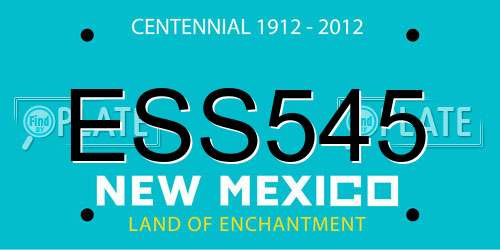 ESS545 New Mexico License Plate