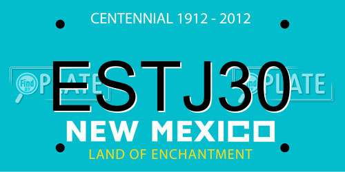 ESTJ30 New Mexico License Plate