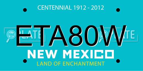 ETA80W New Mexico License Plate