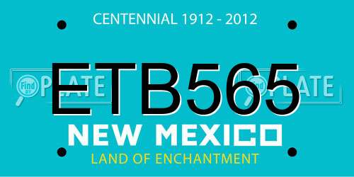 ETB565 New Mexico License Plate