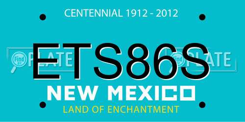 ETS86S New Mexico License Plate