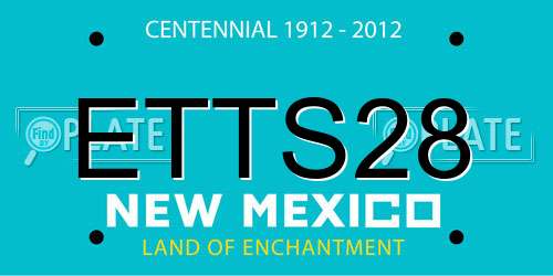 ETTS28 New Mexico License Plate