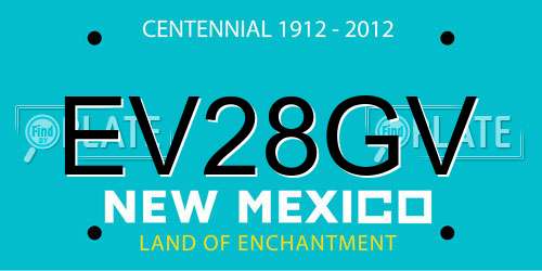 EV28GV New Mexico License Plate