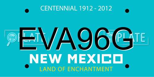 EVA96G New Mexico License Plate