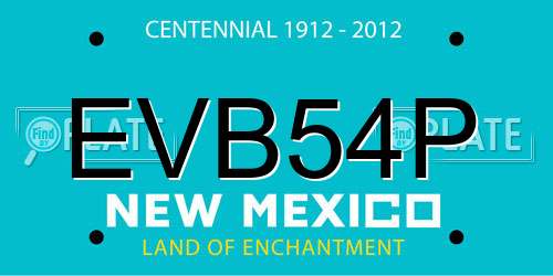 EVB54P New Mexico License Plate
