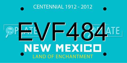 EVF484 New Mexico License Plate