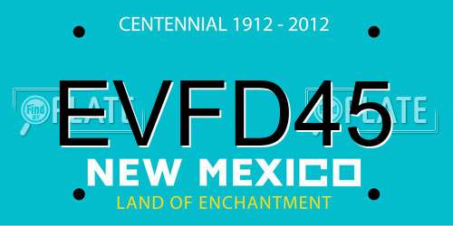 EVFD45 New Mexico License Plate