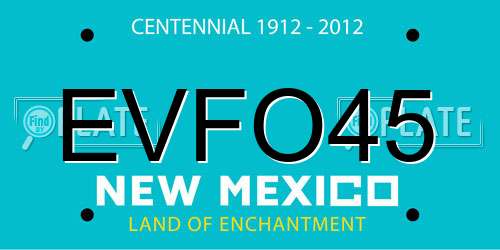 EVFO45 New Mexico License Plate