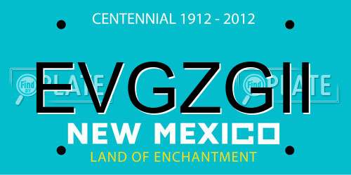 EVGZGII New Mexico License Plate