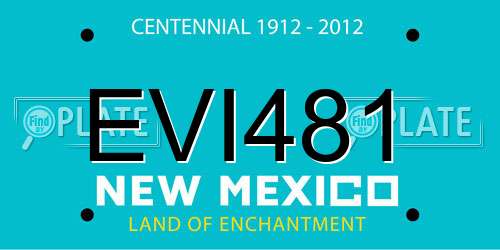 EVI481 New Mexico License Plate