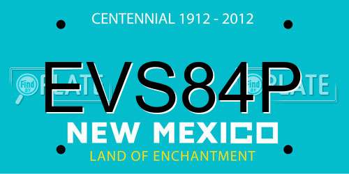 EVS84P New Mexico License Plate