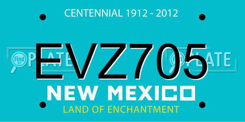 EVZ705 New Mexico License Plate