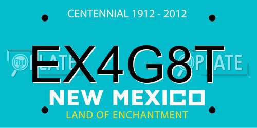 EX4G8T New Mexico License Plate