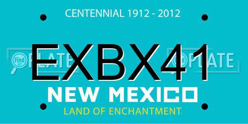 EXBX41 New Mexico License Plate