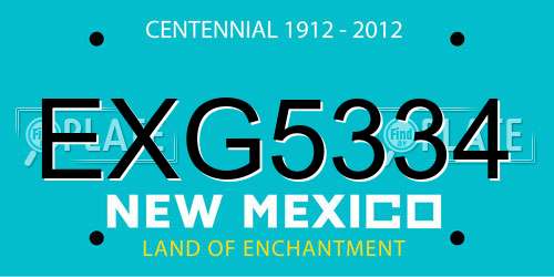 EXG5334 New Mexico License Plate