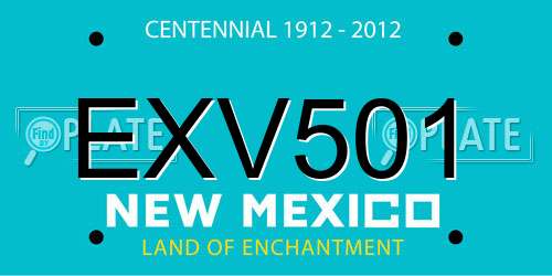 EXV501 New Mexico License Plate