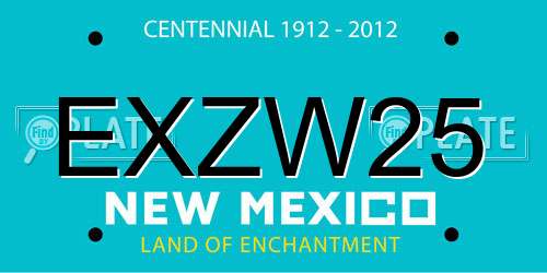 EXZW25 New Mexico License Plate