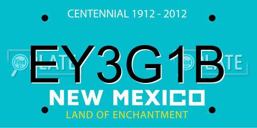 EY3G1B New Mexico License Plate