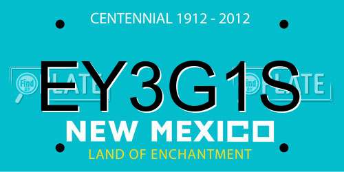 EY3G1S New Mexico License Plate