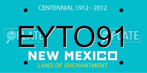 EYTO91 New Mexico License Plate