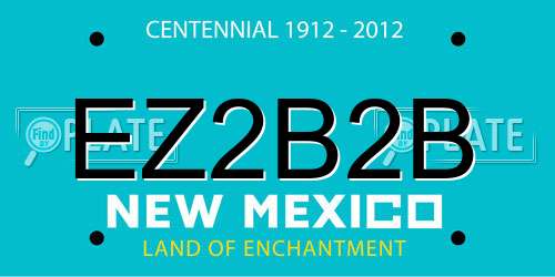 EZ2B2B New Mexico License Plate