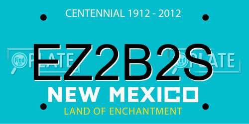 EZ2B2S New Mexico License Plate